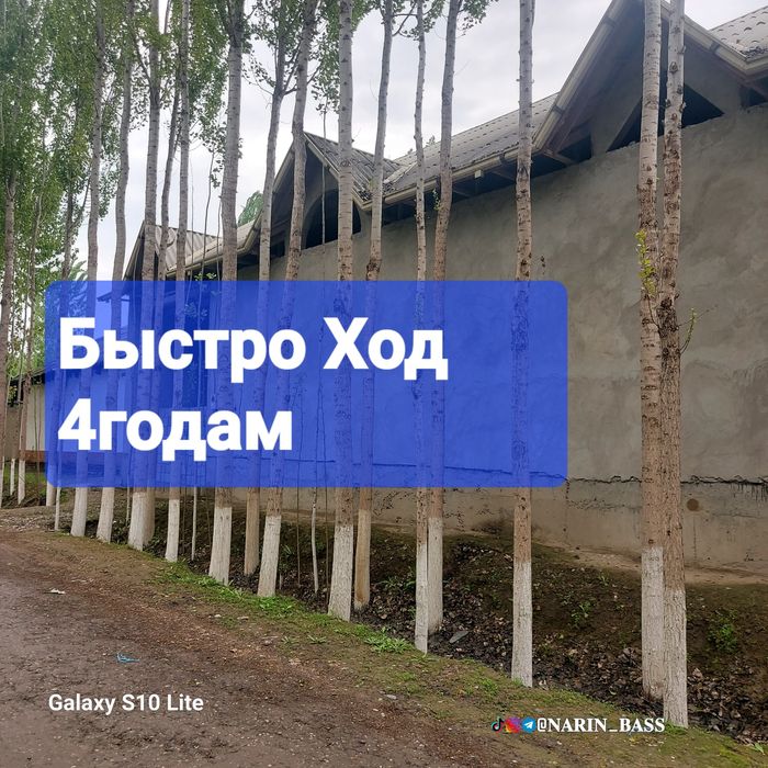 Калифорния, БЫСТРО ХОД терак Кучат Ва каламчалари