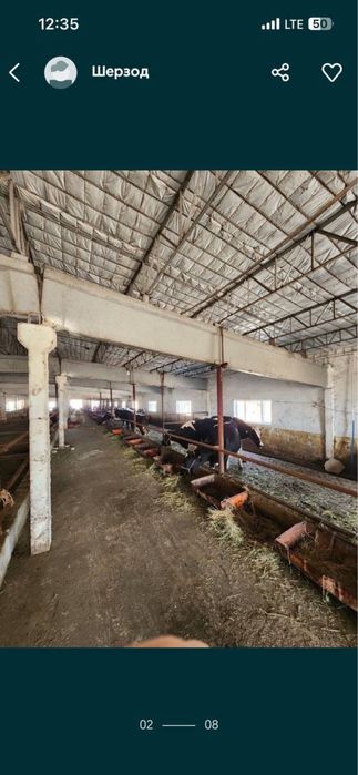 Продаю ферму в Кибрае