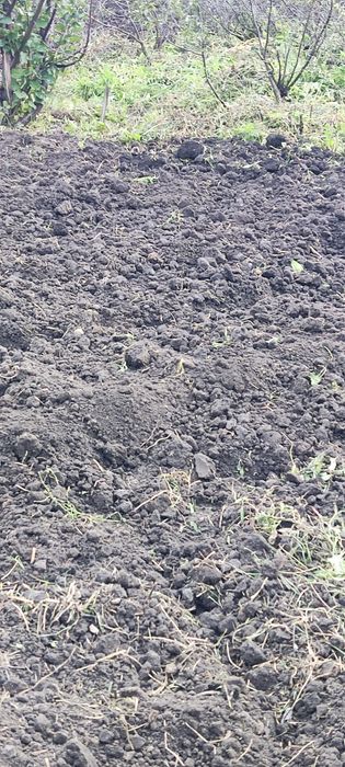 Продам дачу с баней в  СТ  Борки