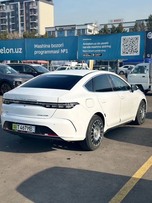 Chazor 2024 2-pozitsa