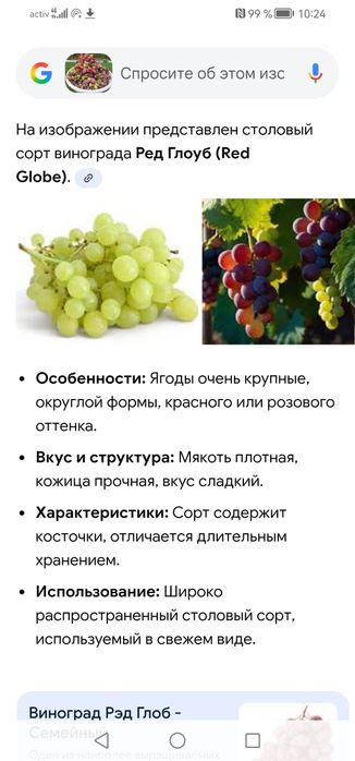 Отростки Виноградов