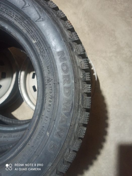 Зимний балон шиповый