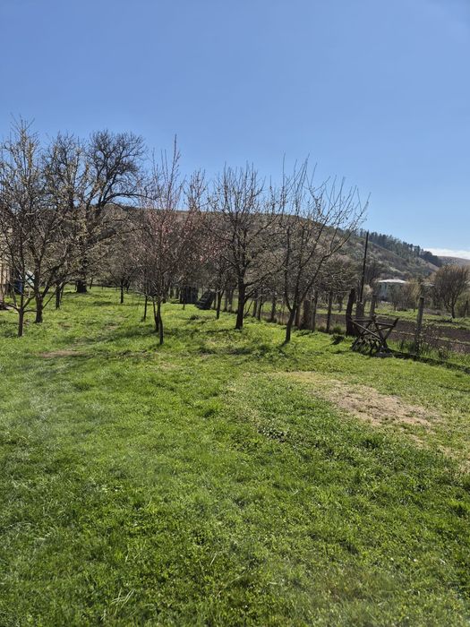 Teren intravilan de vânzare Luna de Sus