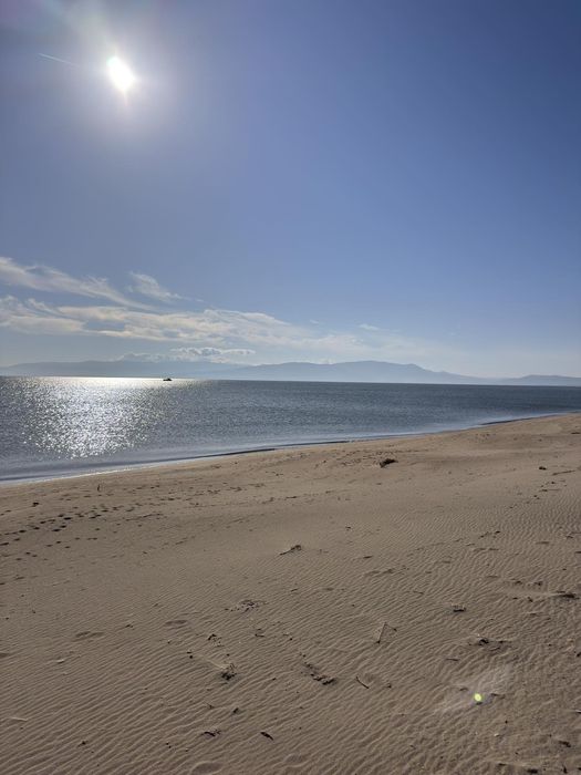 Дава се под наем Земеделски имот в София, Дружба 1 -  кв.м за 13964.31 € - Снимка #3