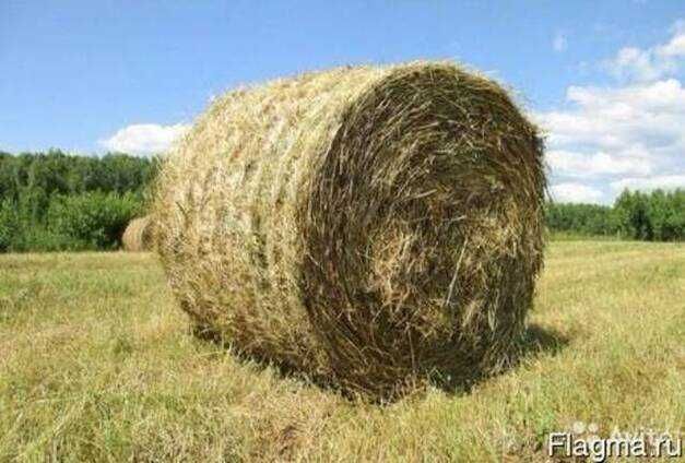Сено в рулонах 350-400кг.