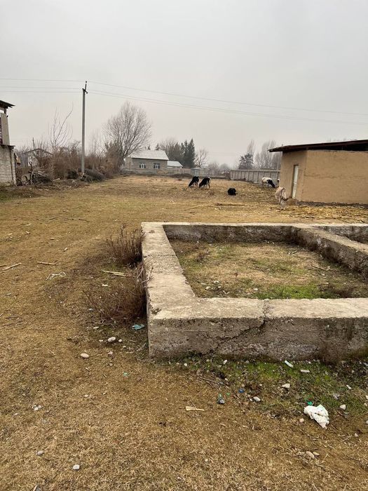 Бектемур Юлдошев