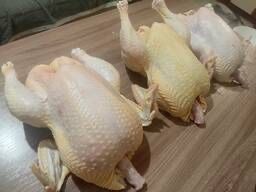 Продам кур бройлер