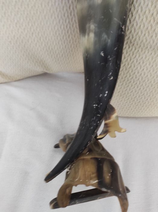 Голяма риба от рог