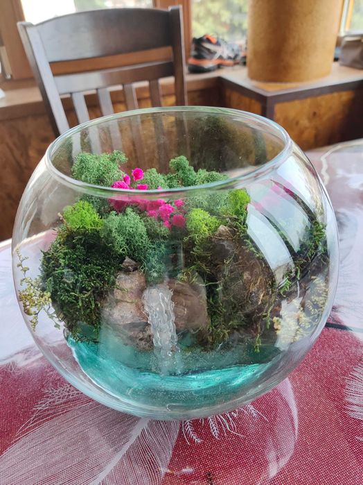 Продавам красотичка