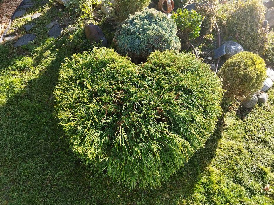 Косене трева, поддръжка, фрезоване, поливни системи, озеленяване