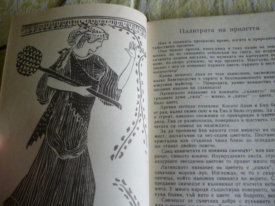 Дъга от цветя - Евгения Черней, Леонила Ширева