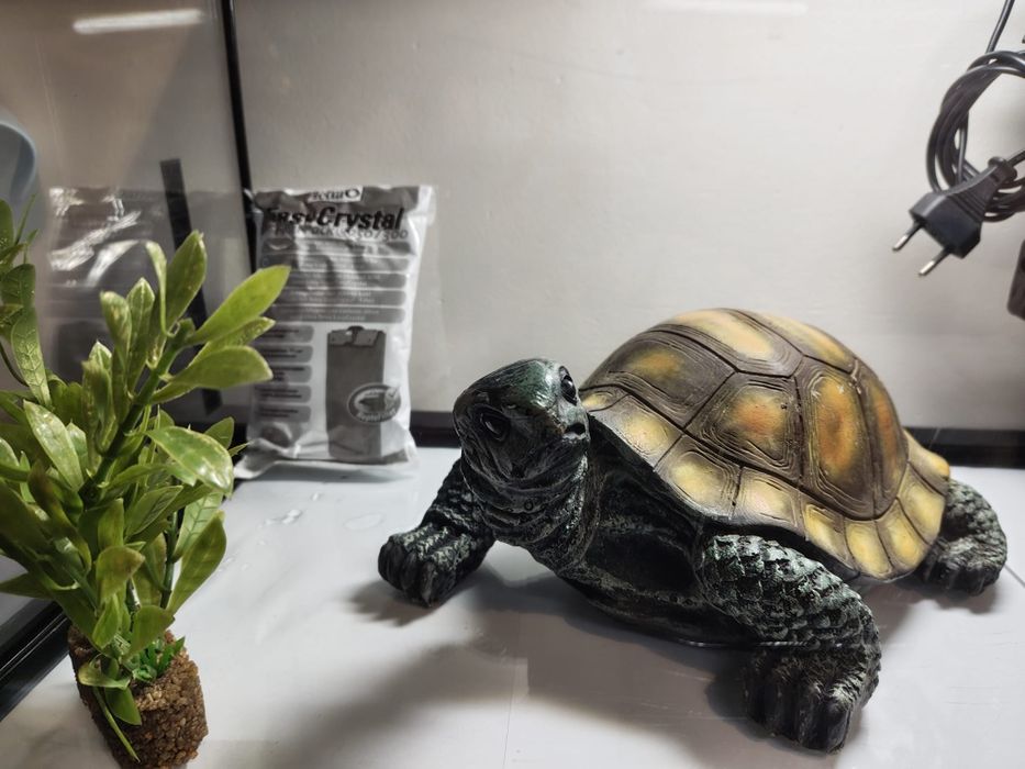 Acvariu complet,  60 cu 30 cm. Plus cadou!!!