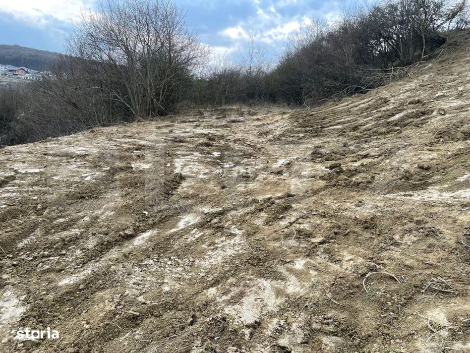 Teren intravilan 1.525 mp – Valea Jelnei, aproape de Bistrita, negoc