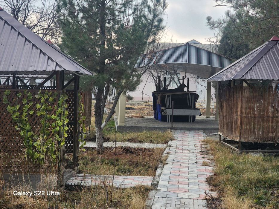 Tayor restoran dacha  biznes sotiladi