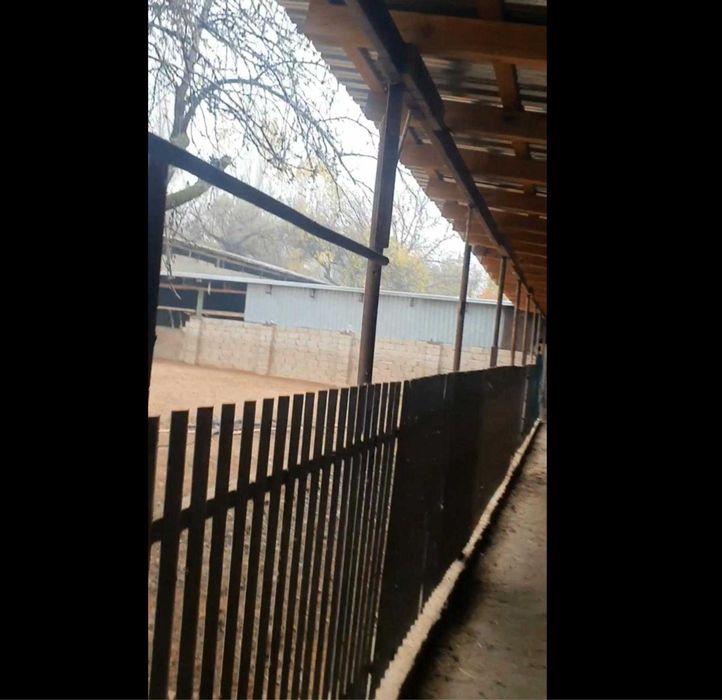 продается Ферма  для скотоводство в пос. Джалаир. Город Чирчик.