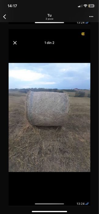 Vand balotii de anul 2025