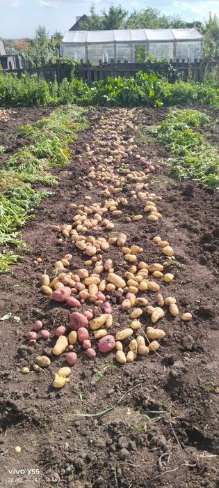Продаю дачу за 400 000 тысяч возможен торг