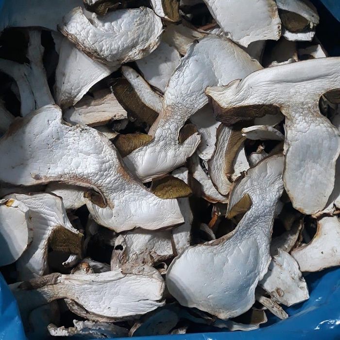 Hribi/Pitoance uscati calitatea 1/2 100% BIO