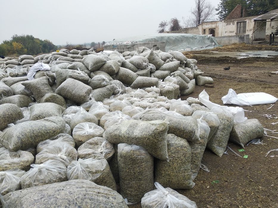 Силос кукурузный