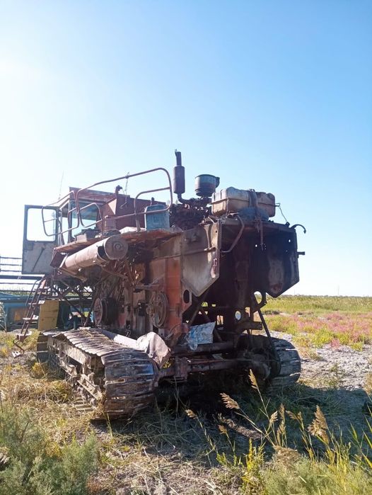 Енесей жатка гусинечный