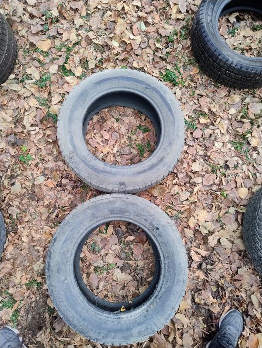 Зимние резины . Пара.