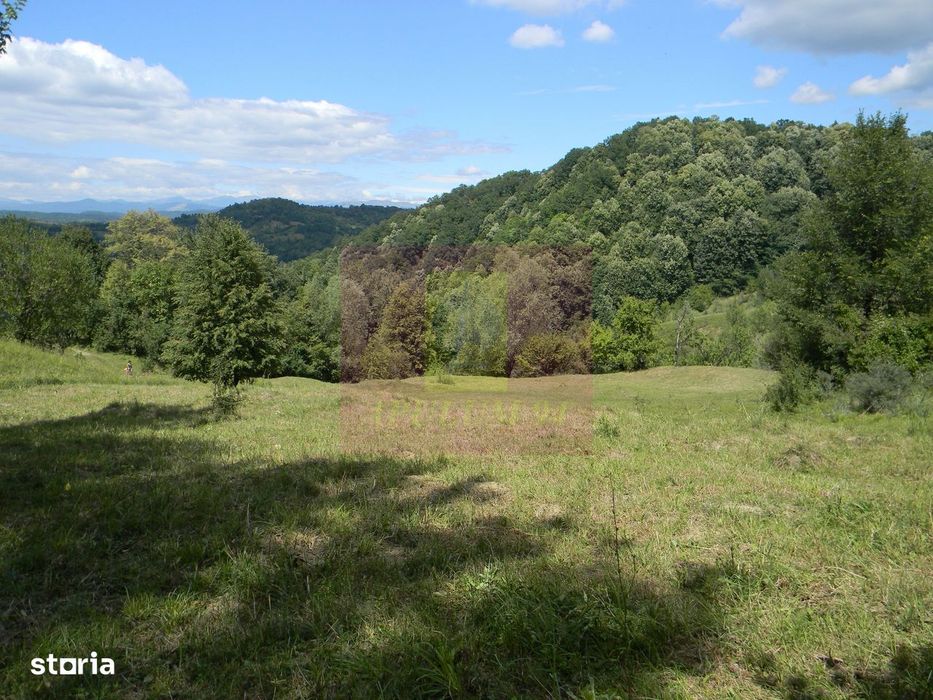 Teren intravilan de vanzare in Telega