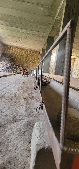 Hayvonlar uchun ohir