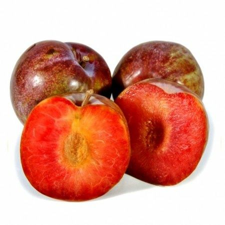 Prun (Soiul ,,sangue di Drago" )