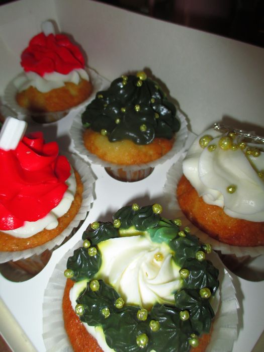 Фотоаппарат Canon IXUS 132