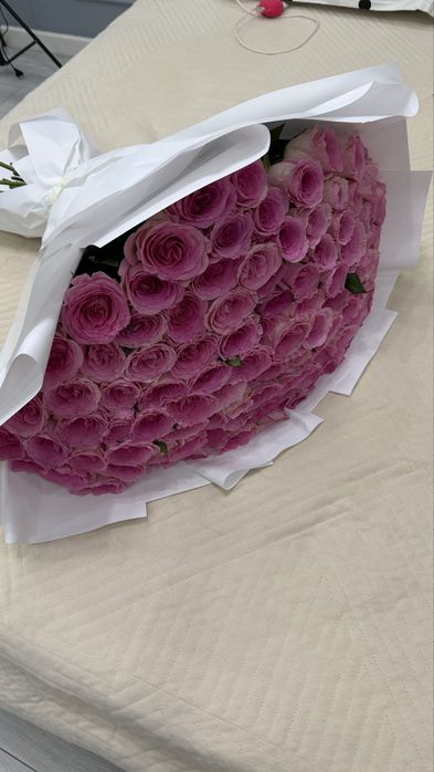 Свежие нежно-розовые цветы, 101 роза