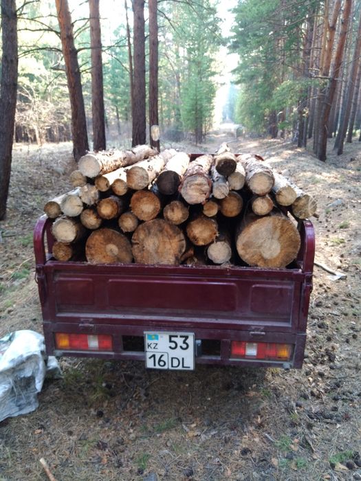 Грузовой мотоцикл Рейсер муравей