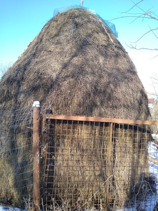 Vand stog/claie de fan nemucegait,foarte bun pt animale