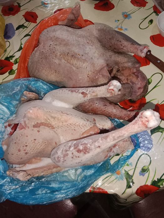 Үндік еті бар сатылатын