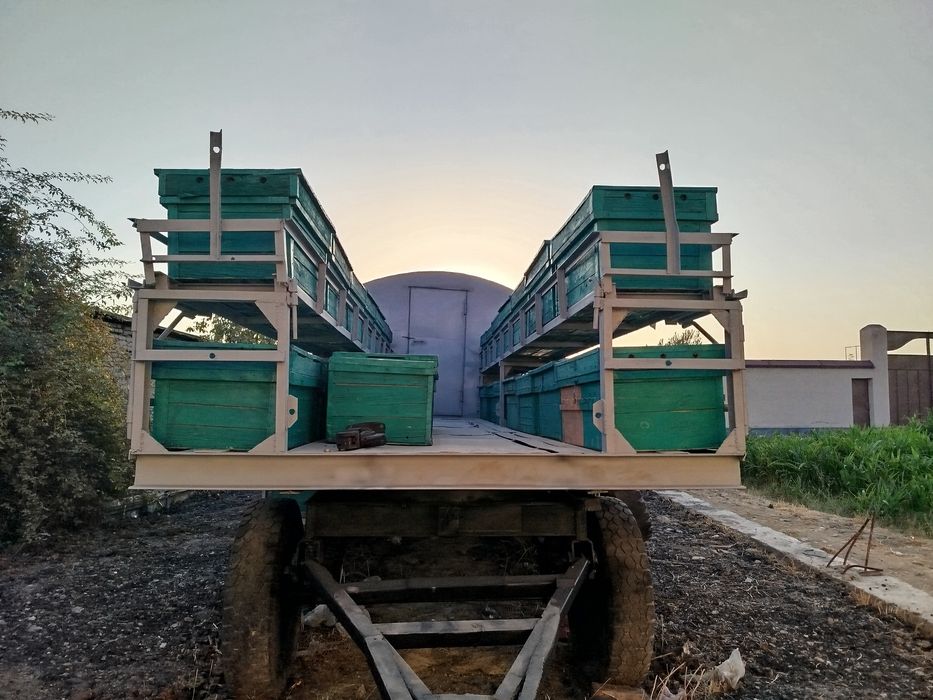 Асалари прицеп (павильон)