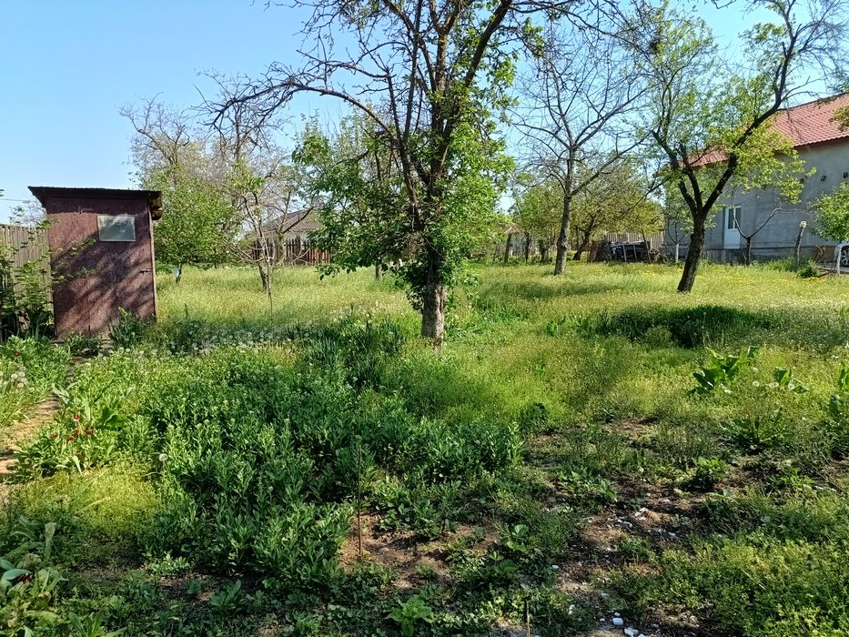 Casa 3:camere , bucătărie,baie renovata 2015,teren generos,la 8,5 km de Selgros Craiova