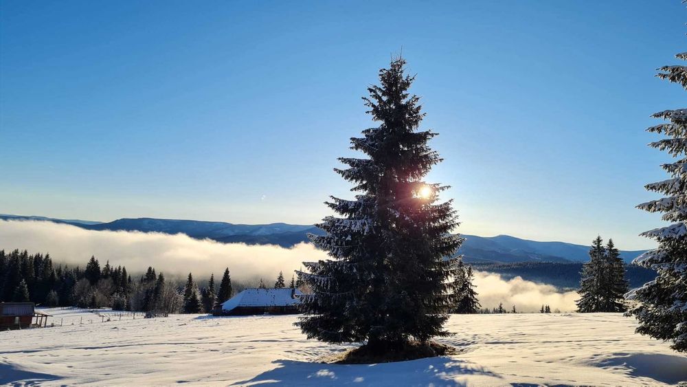 Cabana spatioasa de vanzare (zona de munte)