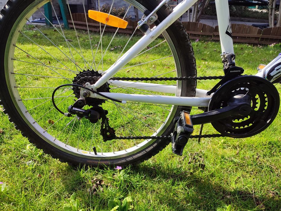 Детски велосипед 24" Steinbeck Trail