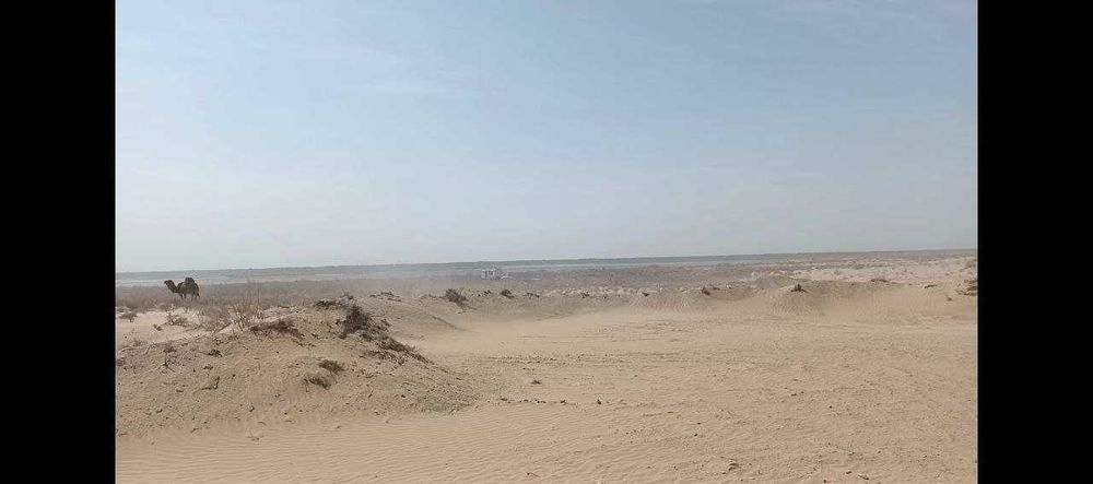 Uy qurish, dala hovli qilish