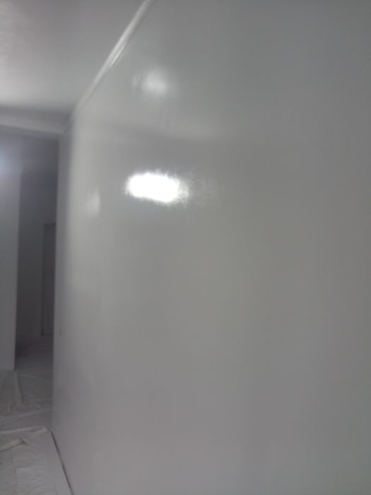 Execut zugrăveli profesionale