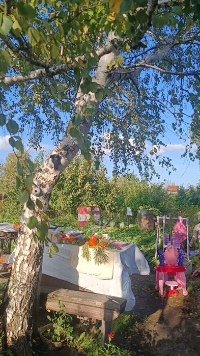 Продам дачу, общество Борки