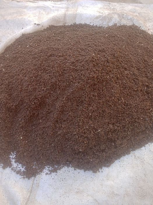 Биягомис угитлари