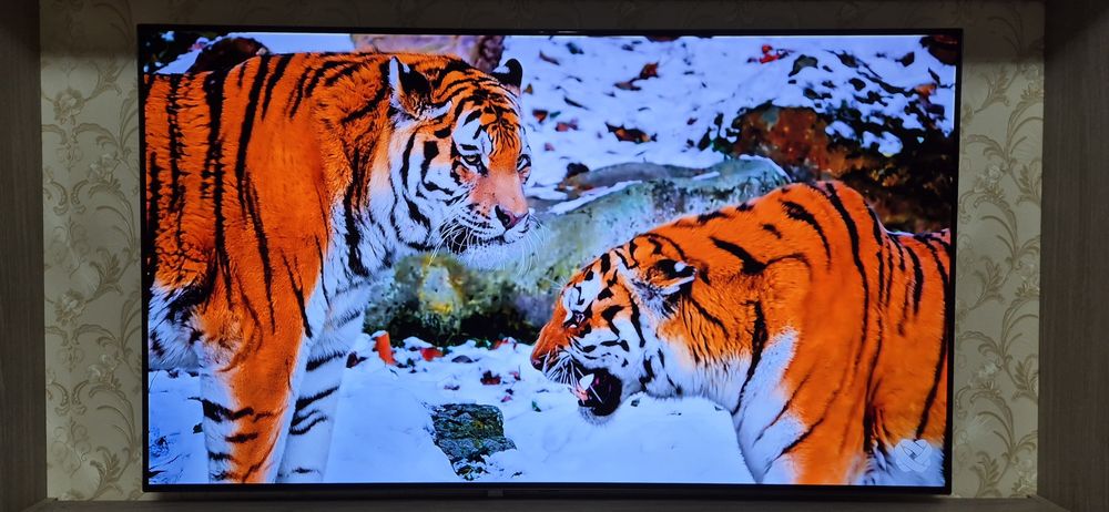 TV  Oled LG 55C11LB