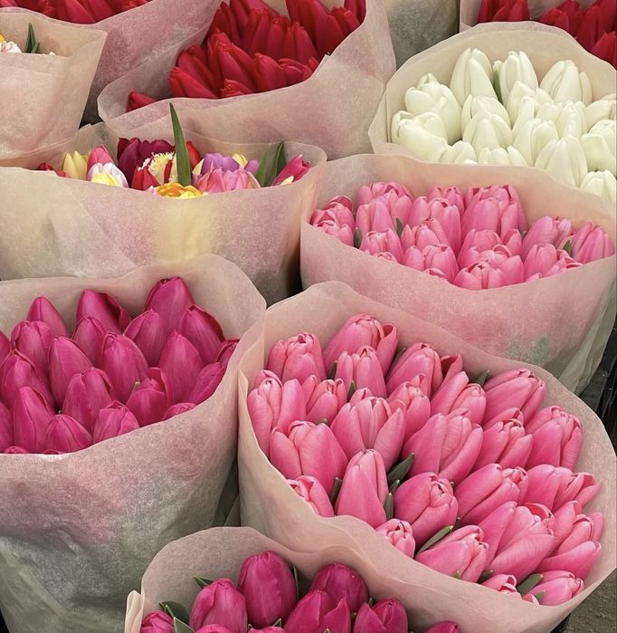 Тюльпаны корпаратив | Алматы | 600 тг