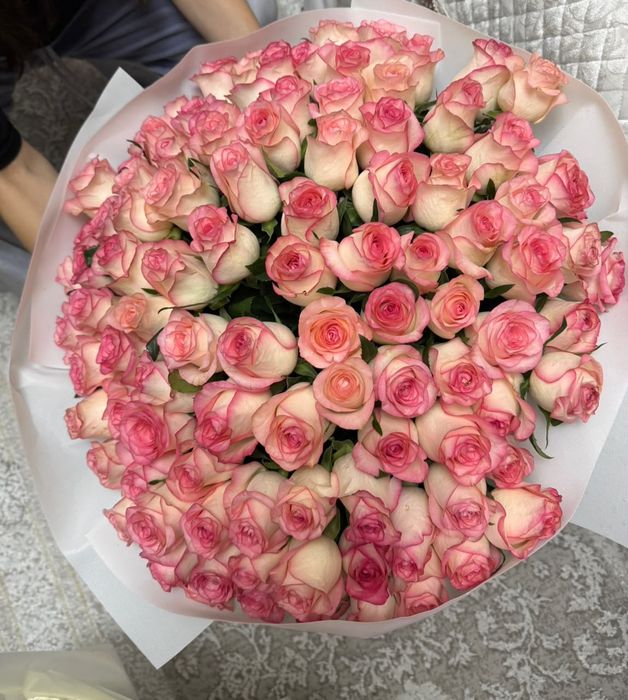Розы свежие 101 шт каждые
