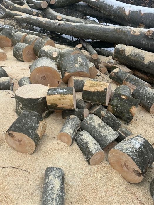 VÂND lemne de fag / asigur transport!