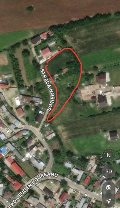 Teren 1.300 mp Palanca – împrejmuit și amenajat, pomi fructiferi, utilități - Vedere 2
