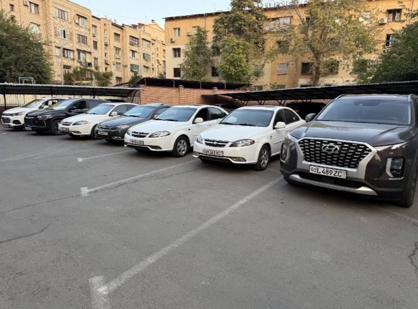 Suxoy arenda аренда сухая