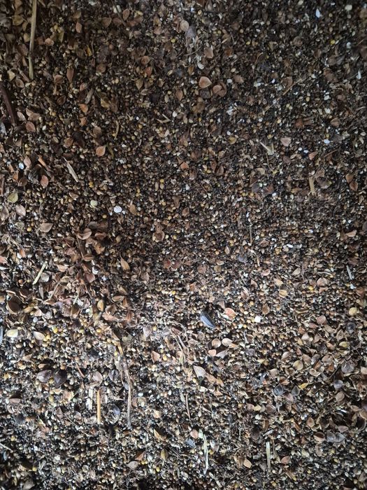 Отхот Грешка 1000 тенге мешок