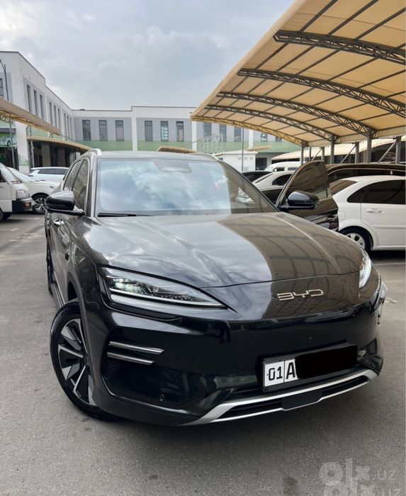 BYD Chempion restayling