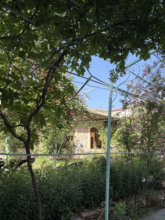 Дача Самарканд | дача АНХОР | dacha samarkand | dacha | Anxor